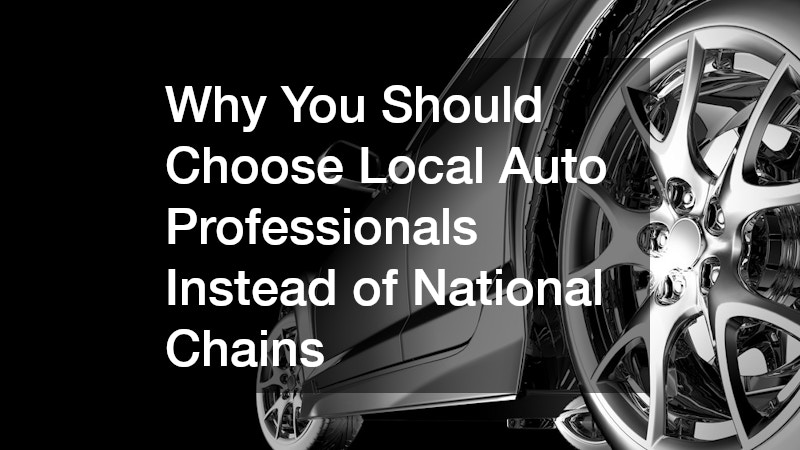 Why You Should Choose Local Auto Professionals Instead of National Chains